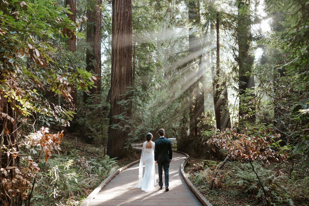 Couple walking on a path through a redwood forest