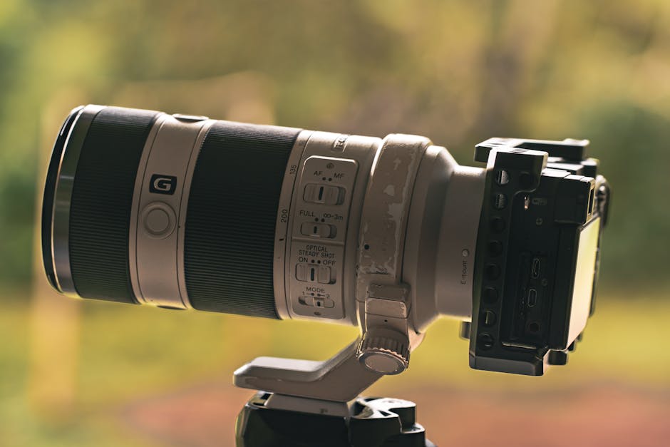 Best Telephoto Lenses (2026)