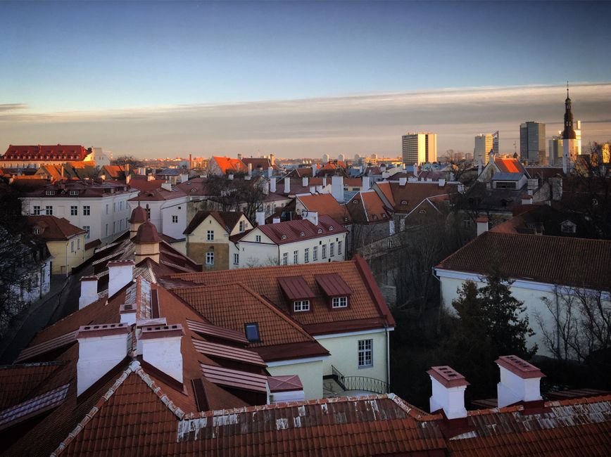 Family Photographers in Tallinn: Sessions & Pricing