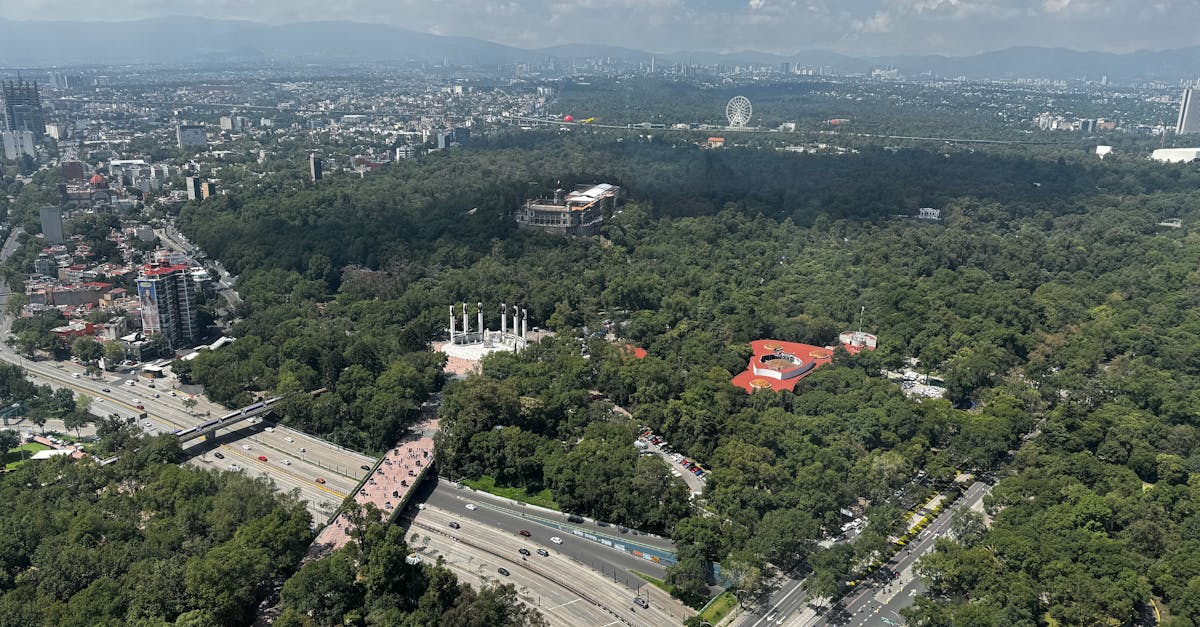 Vacation photographer in Mexico City