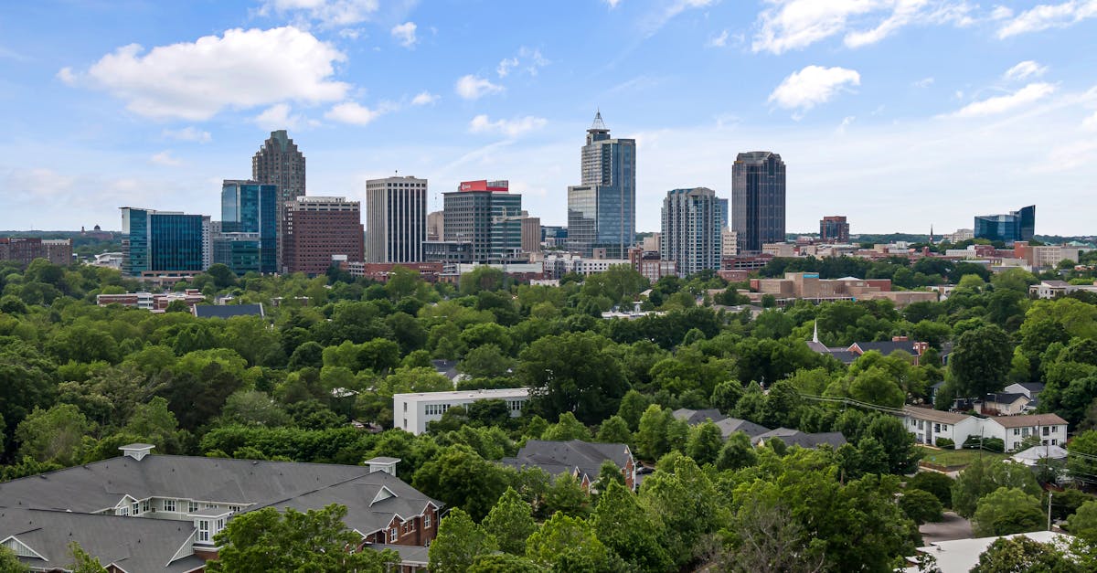 Vacation photographer in Raleigh