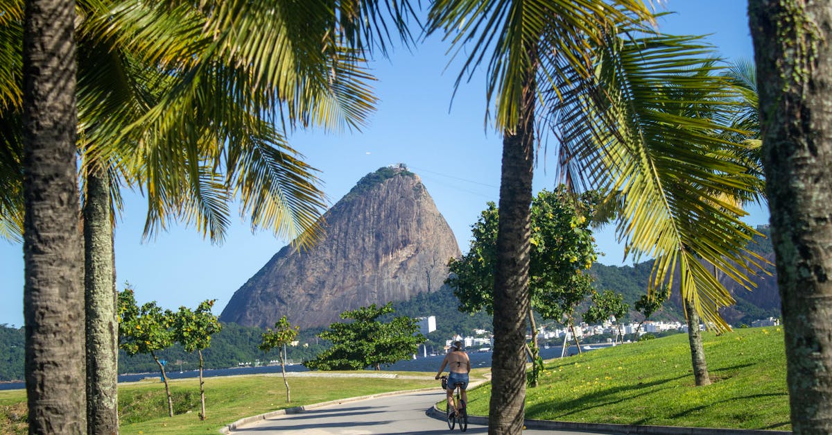 Vacation photographer in Rio de Janeiro