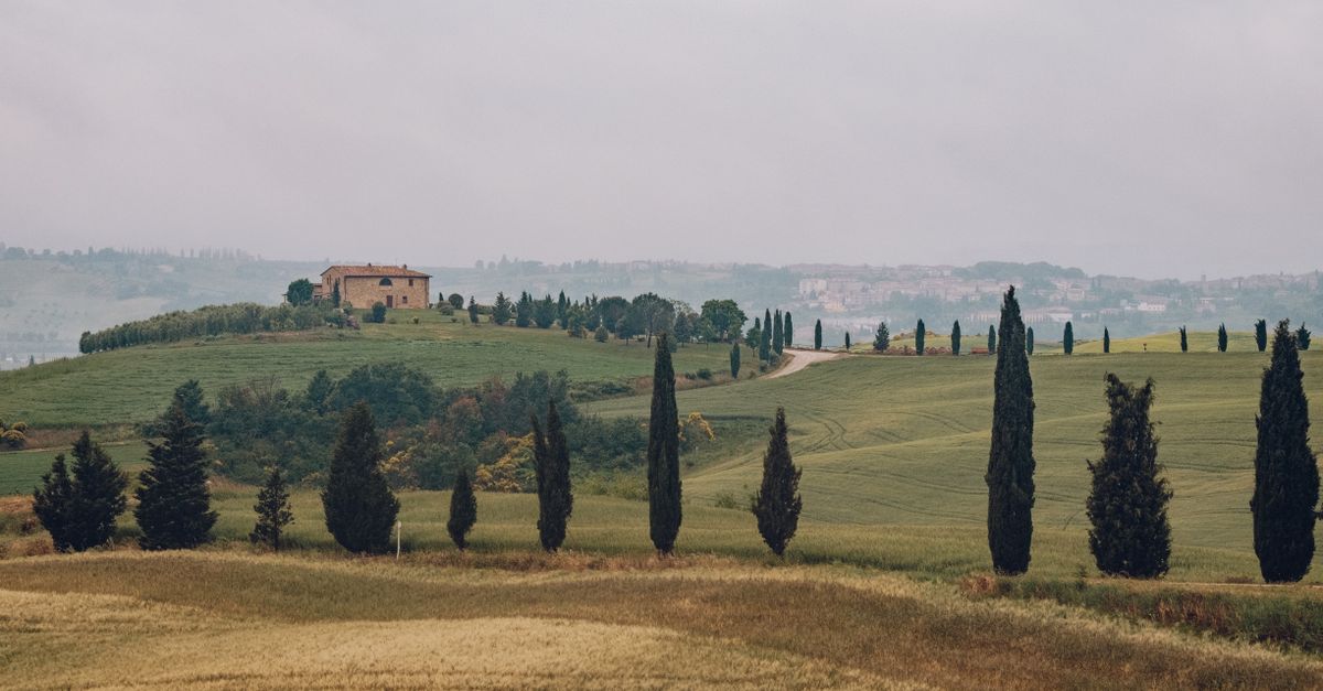 Vacation photographer in Tuscany