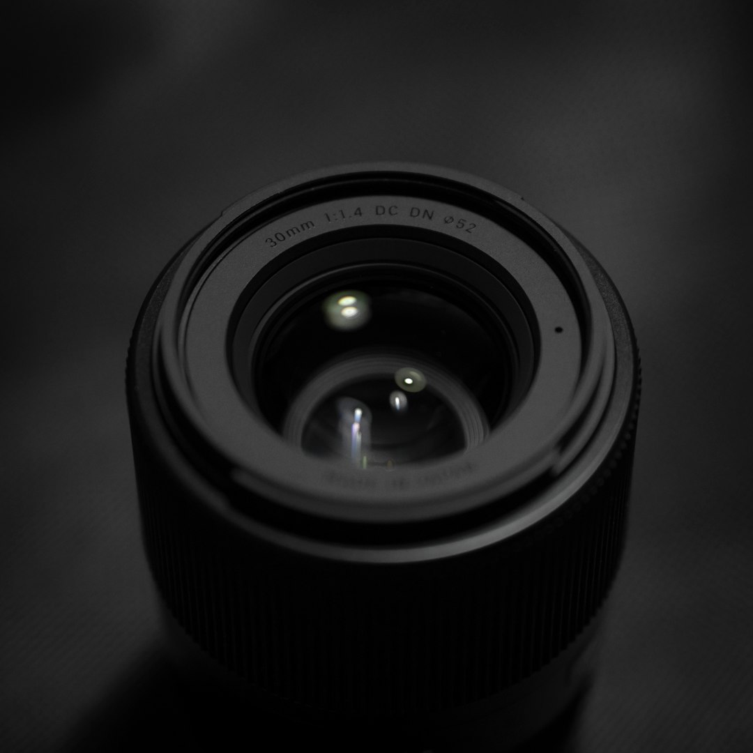 Sigma 105mm f/2.8 DG DN Macro Art (representative image)