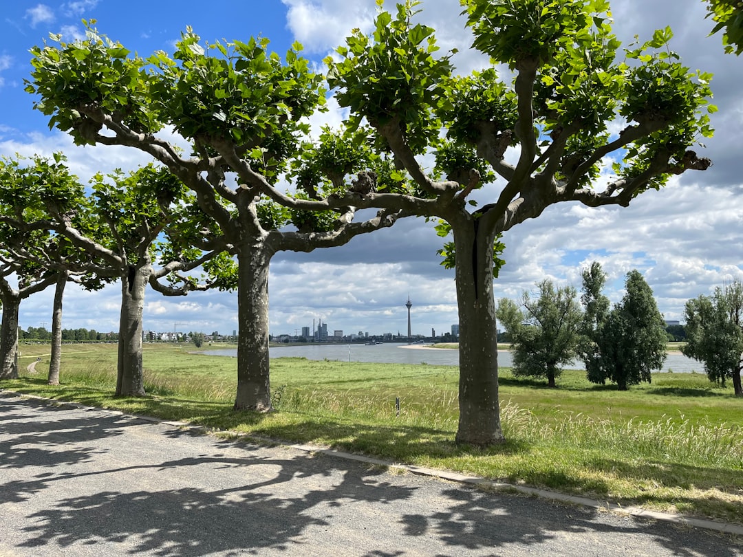 Portrait Photographers in Dusseldorf (2026 Session Guide)
