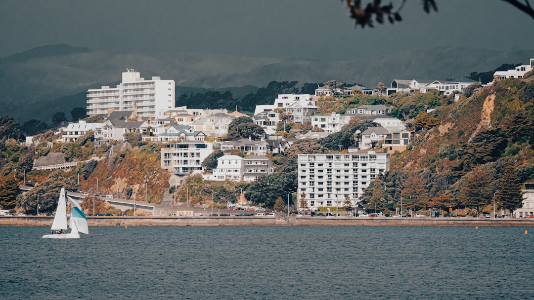 Portrait Photographers in Wellington (2026 Session Guide)