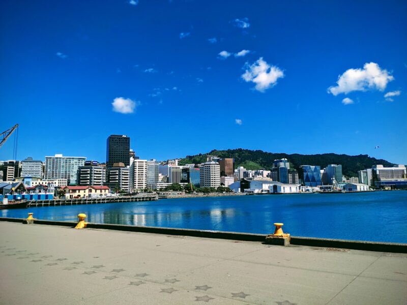 Wedding photographers in Wellington